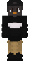 Скин по нику SeantexTV