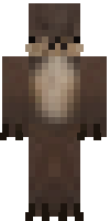 Скин по нику Septerra21