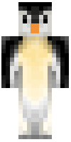 Скин по нику ShadowCompany