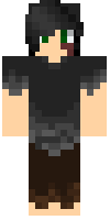 Скин по нику ShadowLi