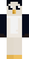 Скин по нику Shaker_CV13
