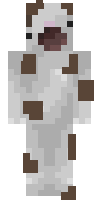 Скин по нику Shaman2