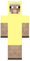 Скин по нику Sheep5
