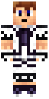Скин по нику Sheik969
