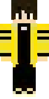 Скин по нику Shmel_game14