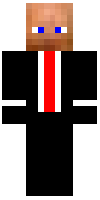 Скин по нику SirDuck11