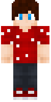 Скин по нику Skaleta_YT