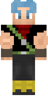 Скин по нику Skely