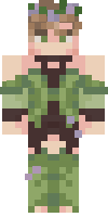 Скин по нику SkyDropper