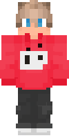 Скин по нику SkyGuyTV