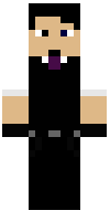 Скин по нику Sky_Penguin
