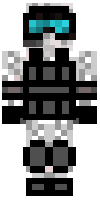 Скин по нику Skyform