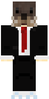 Скин по нику Spunch