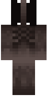 Скин по нику Squidx