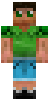 Скин по нику Steve5