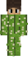 Скин по нику StimeStype