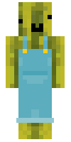 Скин по нику Succubb