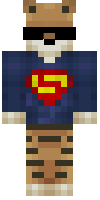 Скин по нику SuperDans
