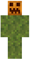 Скин по нику SwampShroom