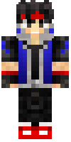 Скин по нику Swordknight11