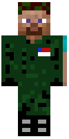 Скин по нику TNT13