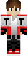 Скин по нику TNT_T