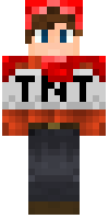 Скин по нику Tag_