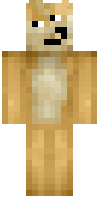 Скин по нику Tanddant