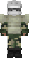 Скин по нику Tankist_Vorobey
