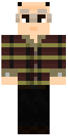 Скин по нику TeamRival