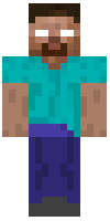 Скин по нику Tehno_Viking
