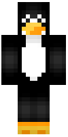 Скин по нику TheChampTF