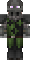 Скин по нику TheDarkFool