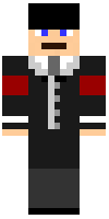 Скин по нику TheMaster