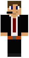Скин по нику TheMrMinecrafter