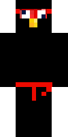 Скин по нику TheNinjaTurkey