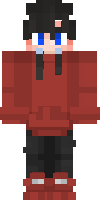 Скин по нику TheShell_yt