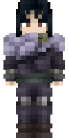 Скин по нику TheSilentRaven
