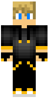 Скин по нику TheSkyRider