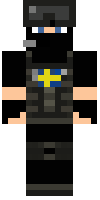 Скин по нику TheSwedenElite