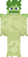 Скин по нику TheTurnipBoy