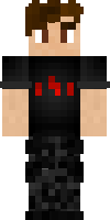 Скин по нику The_Hedgeh0g