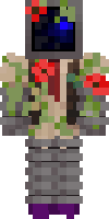 Скин по нику The_Last_Robber
