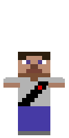 Скин по нику Thundertwz