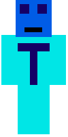 Скин по нику Tim_R
