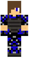 Скин по нику TomGames
