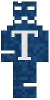 Скин по нику Tomilyn