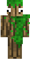 Скин по нику TropicalForest