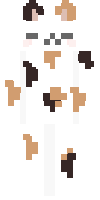 Скин по нику TurboKot
