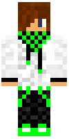 Скин по нику TurtleOG